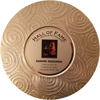 HALL OF FAME PUGILATO ITALIANO - meriti sportivi Castrocaro Terme 2019-img